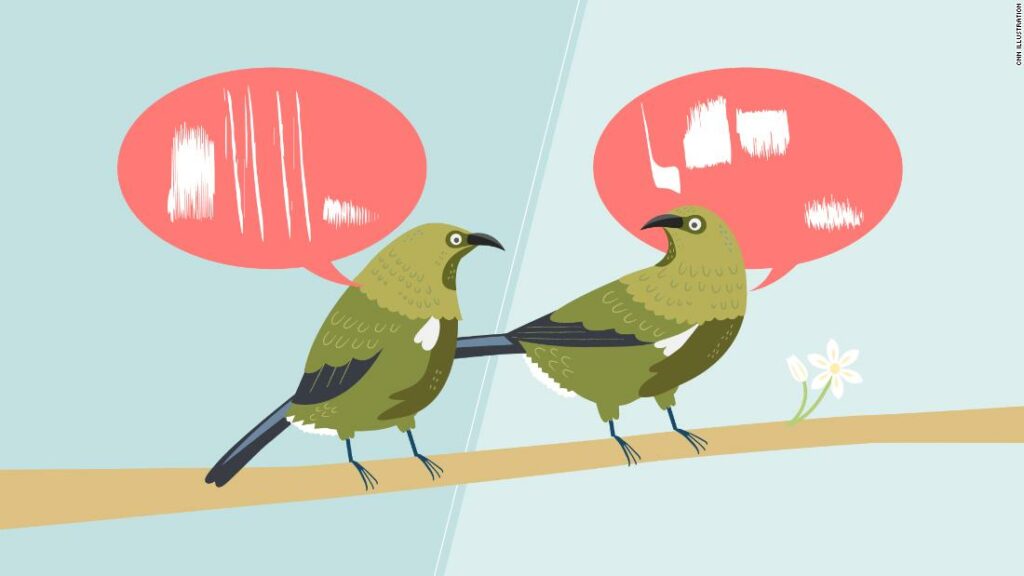 Not all birds sing the same song. They also have accents