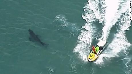 In this aerial video, a jet ski passes over a shark swimming along the coast of Kingscliff, New South Wales, Australia, Sunday, June 7, 2020. 